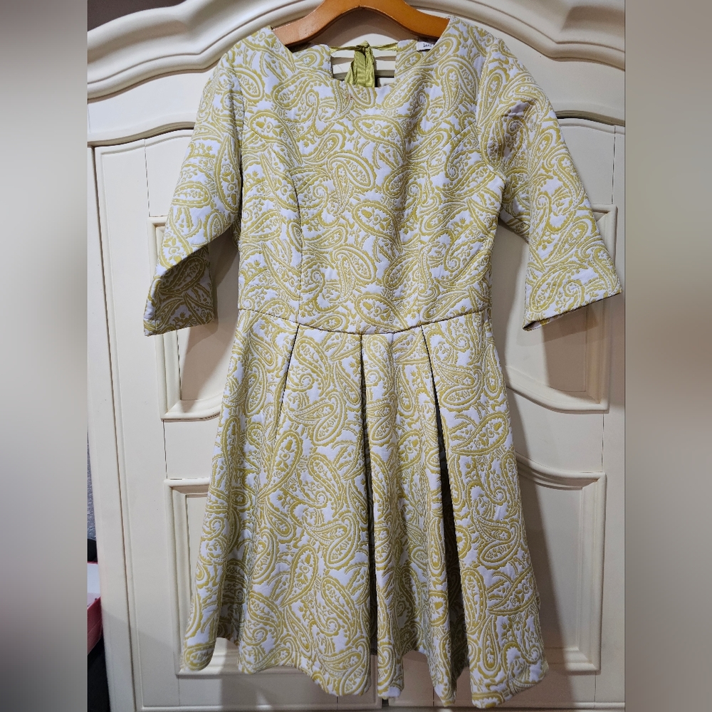 Lucy & Co Large Pleated Paisley Flare  Skater Dress Chartreuse Baroque Brocade